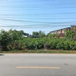 Bán Đất 1053,5 m2 tại Đường Quốc lộ 54, Xã Tân Thành, Huyện Lai Vung, 4,2 tỷ - Ảnh thu nhỏ 3