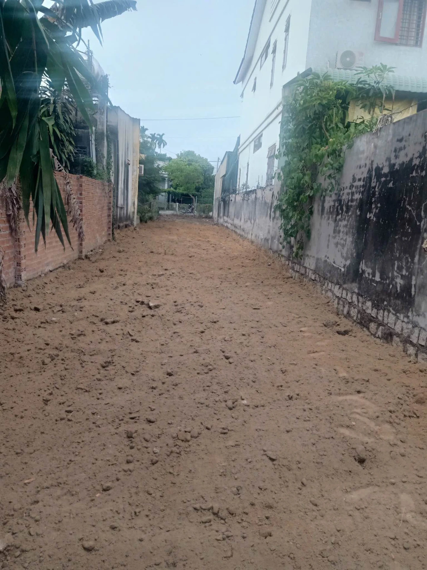 Bán lô đất mặt tiền Hoà Long, Tâm Long, 256m2, 2,6 tỷ - Ảnh 1