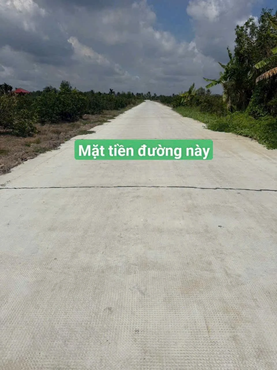 Đất vườn Thạnh Hòa Long An 625m2, 625 triệu - Ảnh 1