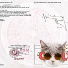 Gần 1,2ha MT Quốc Lộ 29, Đắk Lắk. Giá chưa đến 170tr/sào. Thích hợp làm kho, xưởng. LH 0973 610 *** - Ảnh thu nhỏ 6