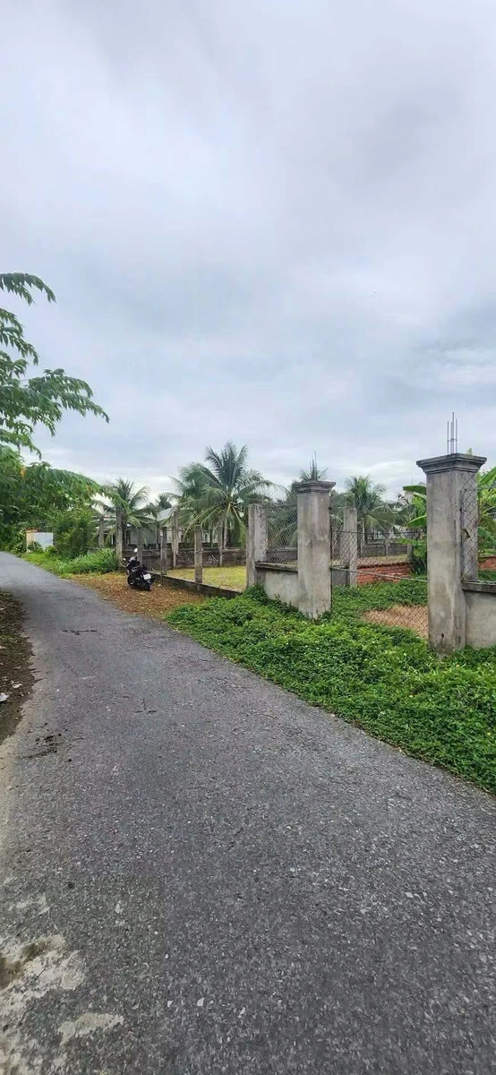 Bán đất mặt tiền 151m2 Trần Văn Cầu An Hội - Ảnh thu nhỏ 3