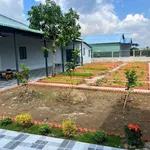 Bán nhà vườn 1052m² 2 PN view sông Vàm Cỏ Bến Lức Long An - Ảnh thu nhỏ 2