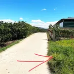 Bán đất 1.670m2 đất vườn có 200m2 thổ cư tại Tân Hà, Lâm Hà, Lâm Đồng, giá chỉ 870tr - Ảnh thu nhỏ 10