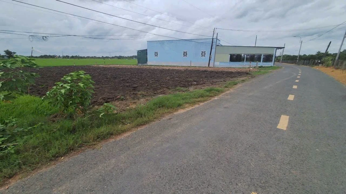Bán đất nền 175m² đường 9m Nguyễn Văn Mỹ Tân Trụ 850 triệu - Ảnh thu nhỏ 2