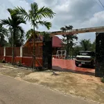 Bán nhà vườn 1000m2 mặt tiền đường nhựa Đồng Nai - Ảnh thu nhỏ 1