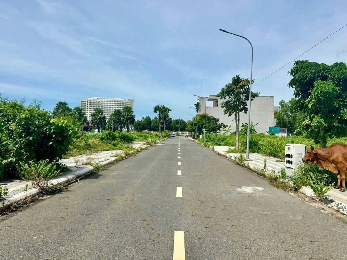 Bán đất Thanh Sơn C Hòa Long, Bà Rịa (nay phường Tam Long) 138m2 giá 2,4 tỷ - Ảnh thu nhỏ 2