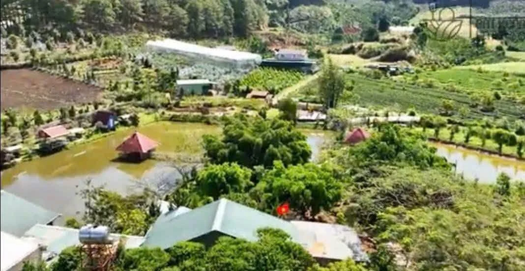 Bán đất nông nghiệp 8445m² TP Đà Lạt – 15 tỷ - Ảnh thu nhỏ 3