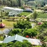 Bán đất nông nghiệp 8445m² TP Đà Lạt – 15 tỷ - Ảnh thu nhỏ 3