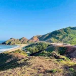 Bán đất view biển Hoàn Hải Bình Định 400 m2 giá 2 tỷ - Ảnh thu nhỏ 3