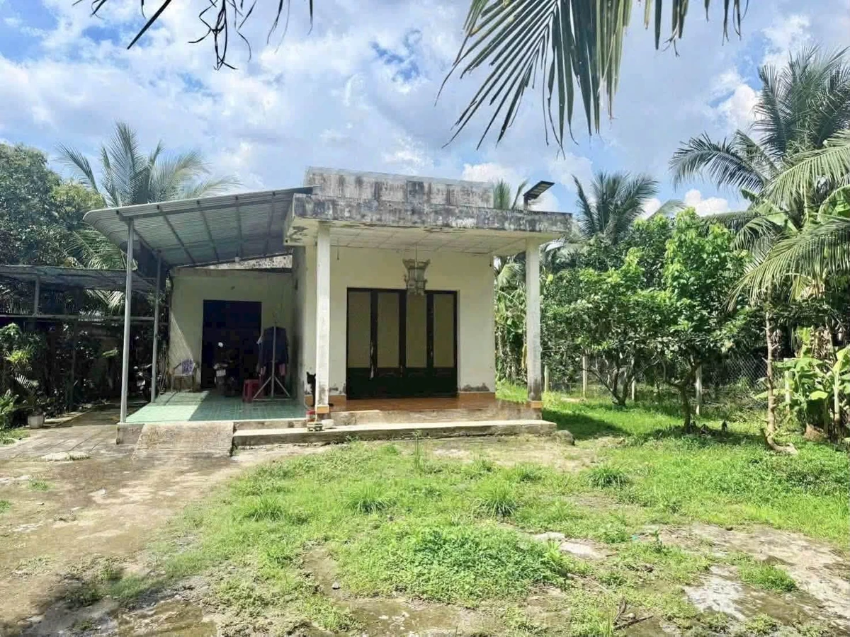 Bán nhà và đất 1000m2 tại Tân Thạch Bến Tre 750 triệu - Ảnh thu nhỏ 2