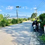 Bán đất 1.500m2, 3 mặt tiền Suối Cát, Khánh Hòa - Ảnh thu nhỏ 2