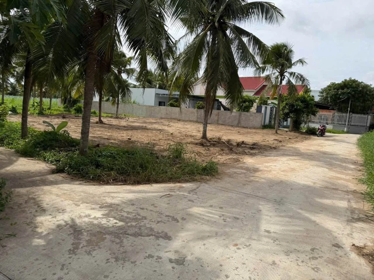 Bán nền mặt tiền Bến Tre Nhà Bè 100m² - Ảnh thu nhỏ 5