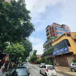 Bán đất mặt đường Đinh Lễ 212m² giá 110 triệu/m² - Ảnh thu nhỏ 3