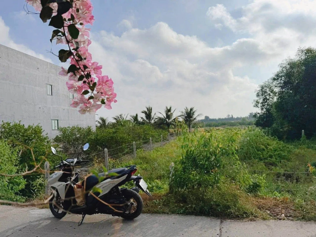 Bán đất mặt tiền Đan Liên Nhà Bè, 602m² giá 2 tỷ 400 triệu - Ảnh thu nhỏ 3
