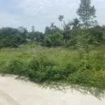 Bán đất Phường Xuân Hòa, vị trí đẹp, đầu tư sinh lời - Ảnh thu nhỏ 9