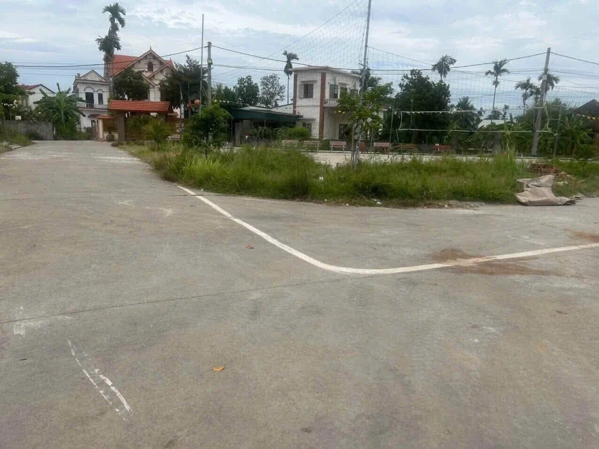 Bán đất Văn Tố Tứ Kỳ 100m² mặt 5m giá 1 tỷ 6 - Ảnh thu nhỏ 3