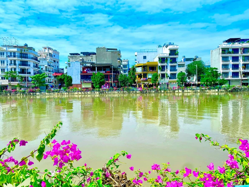 Bán đất mặt tiền kinh doanh QL55 Đất Đỏ 593m² muadatbinhtan