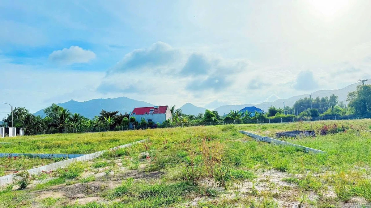 Bán đất vườn 342m2 tại Phước Hải, gần biển 4km - Ảnh thu nhỏ 2
