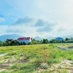 Bán đất vườn 342m2 tại Phước Hải, gần biển 4km - Ảnh thu nhỏ 2