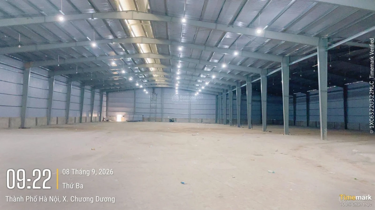 Cho thuê kho xưởng 5.500m2, PCCC tự động gần QL1A Thắng Lợi, huyện Thường Tín, Hà Nội - Ảnh 1