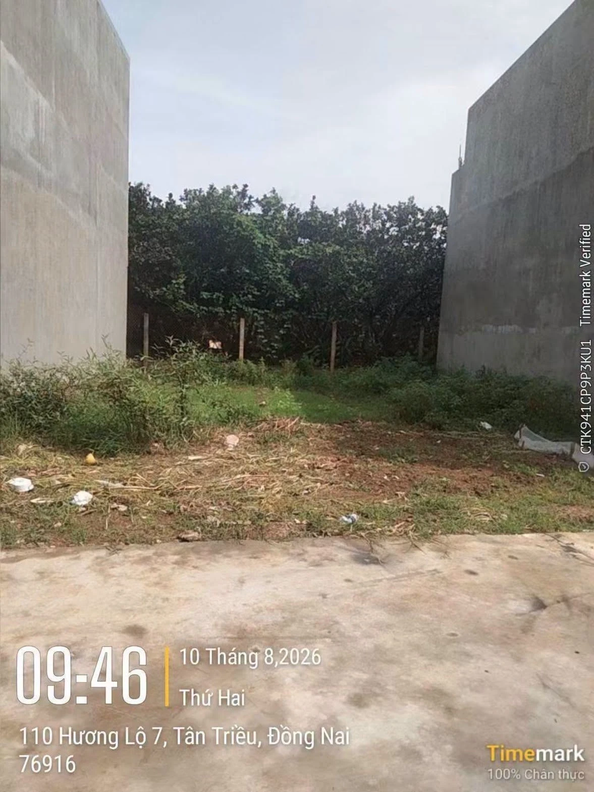 Bán đất nền sổ hồng 87.5m² Tân Bình, Đồng Nai 1 tỷ 480 - Ảnh 1