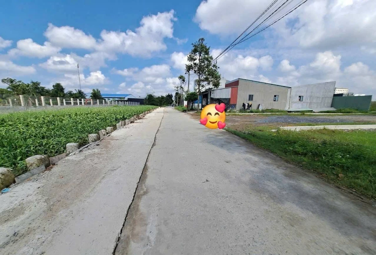 Bán đất mặt tiền đường Kênh Học Trò, 128m2 giá 2,2 tỷ, Bến Lức, Tây Ninh - Ảnh thu nhỏ 2