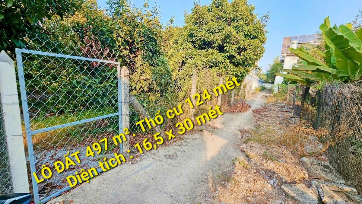Bán đất vườn măng cụt 124 m² Thuận An Bình Chánh - Ảnh thu nhỏ 3