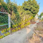 Bán đất vườn măng cụt 124 m² Thuận An Bình Chánh - Ảnh thu nhỏ 3