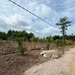 Bán 1,5 mẫu đất Đá Bạc Tp Hcm, 6,5 tỷ - Ảnh thu nhỏ 1