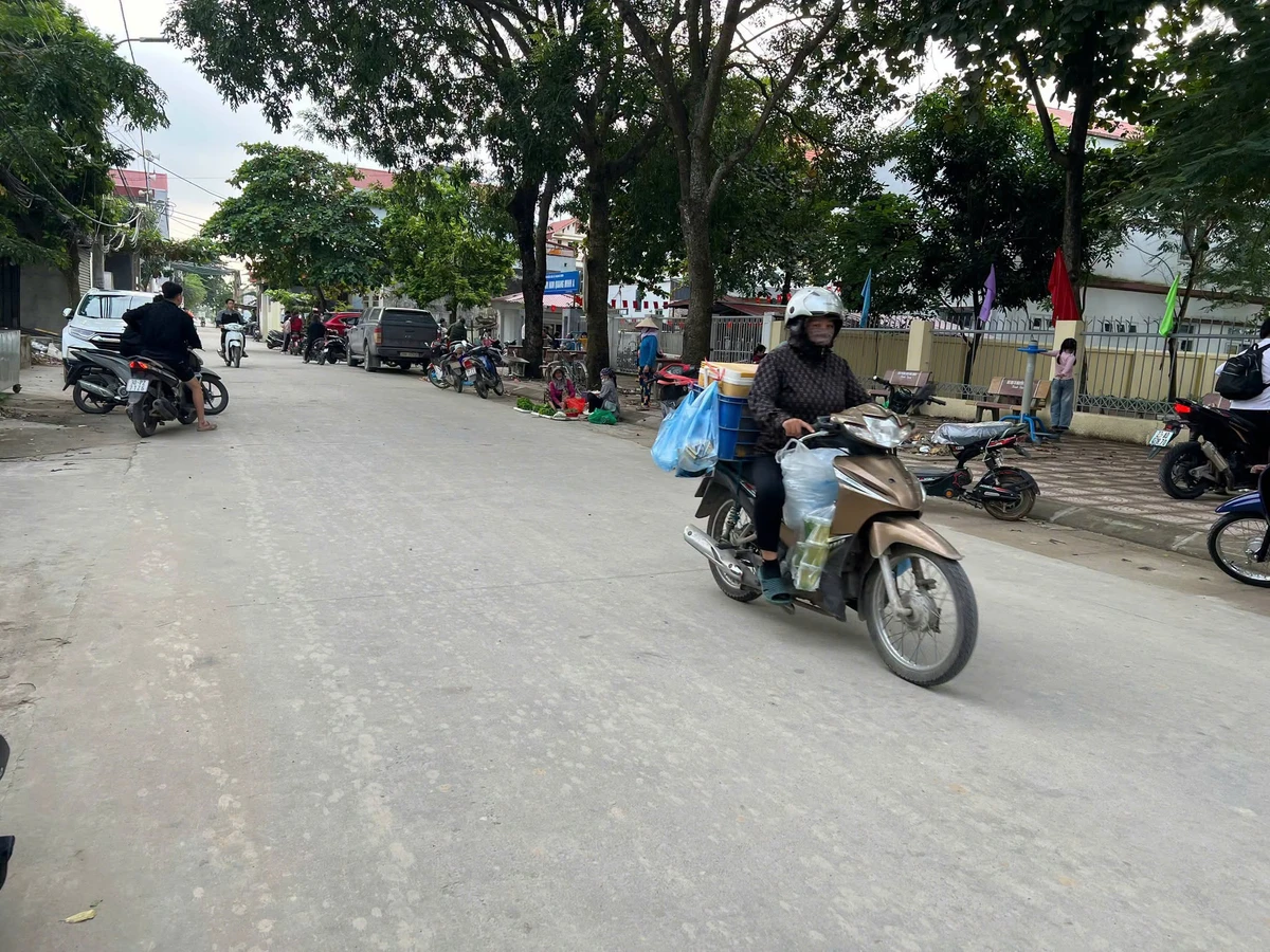 Bán đất góc kinh doanh 52m² Quang Minh, Hóc Môn 2 tỷ - Ảnh thu nhỏ 4