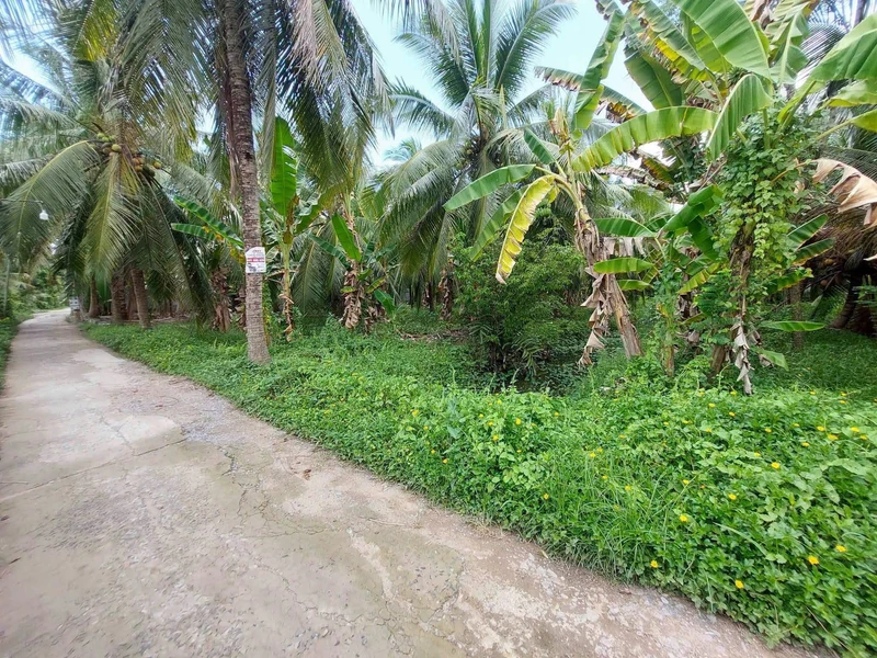 Bán 600m² đất Phường An Hội, Vĩnh Long, Bến Tre - 1,45 tỷ