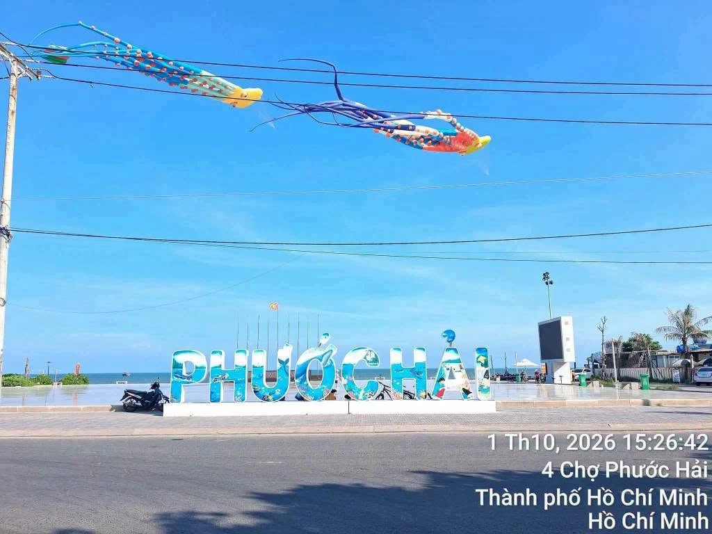 Bán đất Phước Hải 6066m2, mặt tiền 166m, gần biển - Ảnh 1
