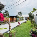 Bán nhà vườn 305m2 đường Nguyễn Biểu Bình Chánh - Ảnh thu nhỏ 3