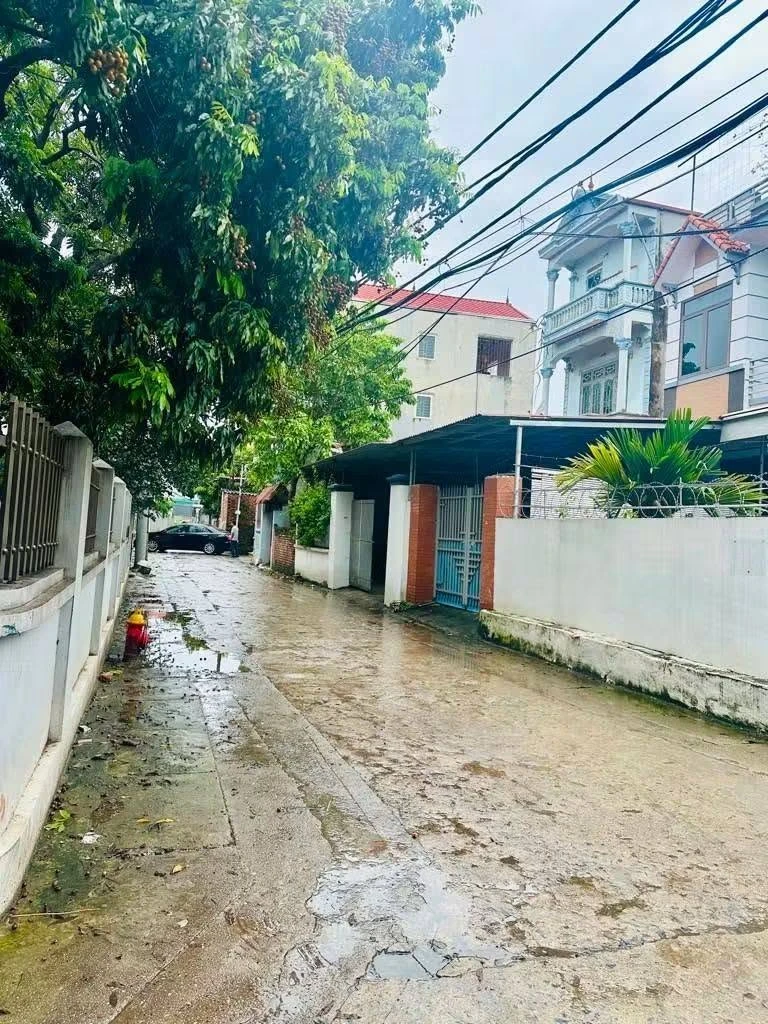 Bán đất Mê Linh Hà Nội 65m2 4 tỷ full thổ cư - Ảnh thu nhỏ 2