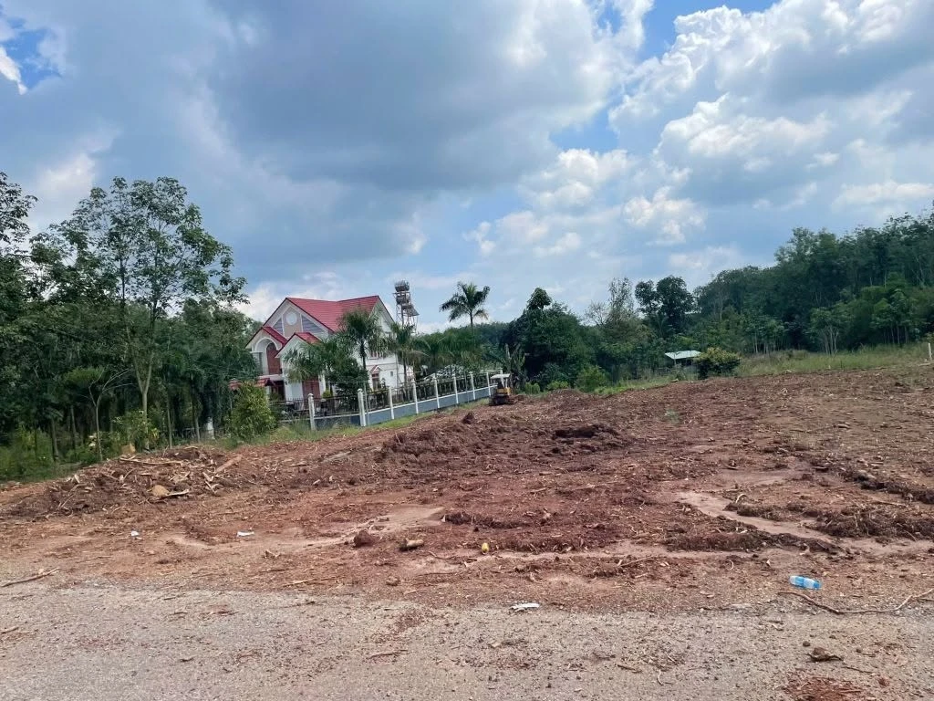 Bán đất 1 sào Phước Thành, Nhà Bè 455 triệu - Ảnh 1