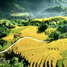 Bán đất mặt đường tỉnh lộ 152 xã Tả Van, Lào Cai - Ảnh thu nhỏ 8