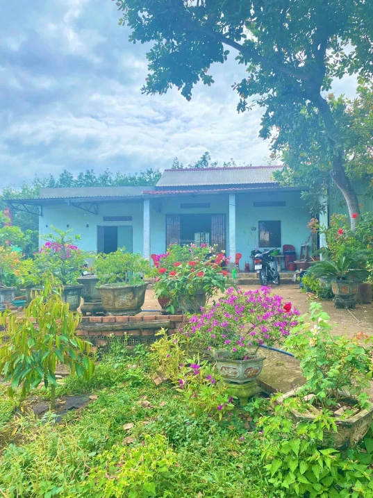 Chú Tám cần bán đất vườn trái cây sẵn nhà cấp 4 ở Bình Dương, rộng 2541m2, thổ cư, giá rẻ 680tr - Ảnh 1
