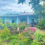 Chú Tám cần bán đất vườn trái cây sẵn nhà cấp 4 ở Bình Dương, rộng 2541m2, thổ cư, giá rẻ 680tr - Ảnh thu nhỏ 1
