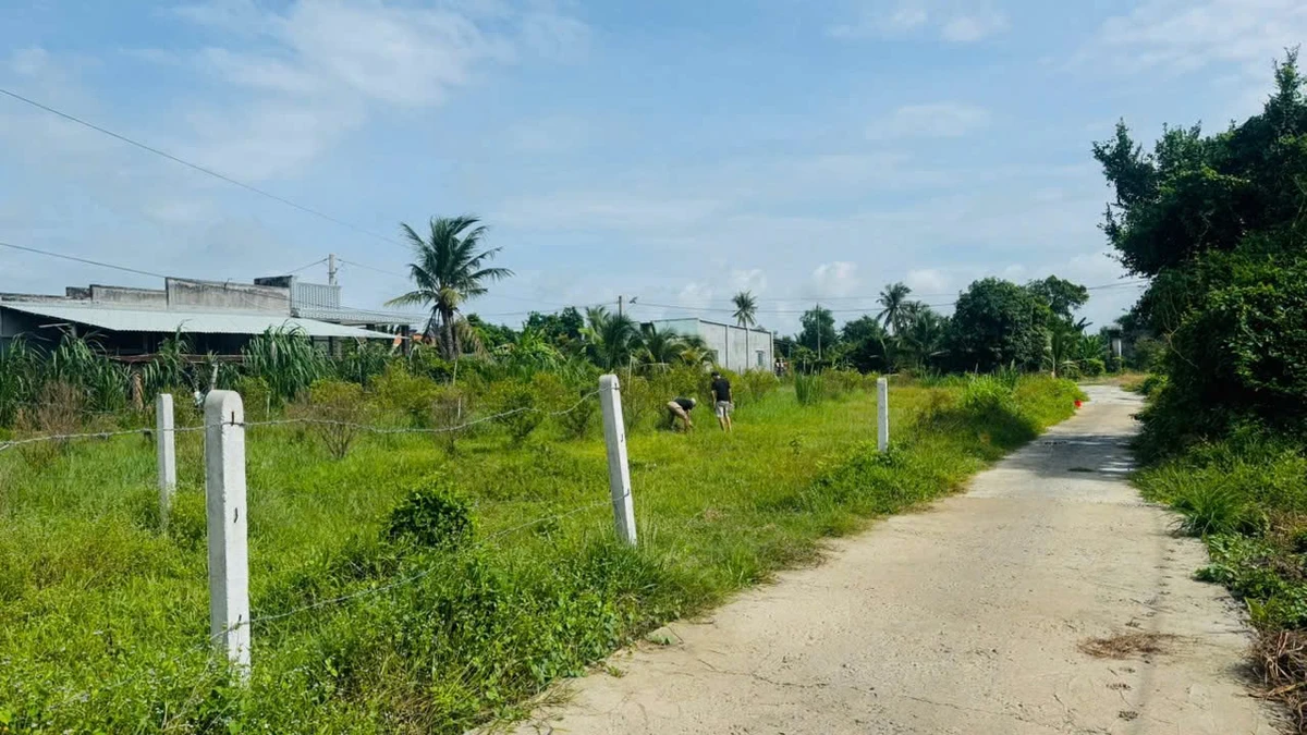 Bán đất full thổ cư 117m² Tây Ninh 579 triệu - Ảnh thu nhỏ 4