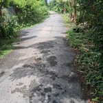 Bán đất tại Mỹ Hòa, Tháp Mười, Đồng Tháp, 6,2 tỷ, 1205 m2 - Hot! View đẹp - Ảnh thu nhỏ 3