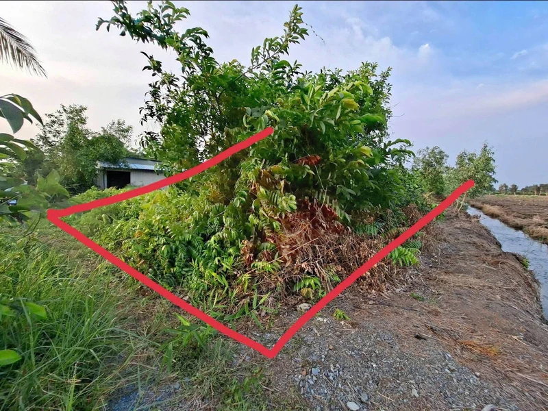 Bán 1200m2 đất vườn ấp 3 Tân Thành, Thủ Thừa, Long An giá 550 triệu