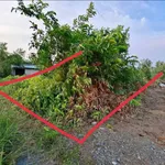Bán 1200m2 đất vườn ấp 3 Tân Thành, Thủ Thừa, Long An giá 550 triệu - Ảnh thu nhỏ 1