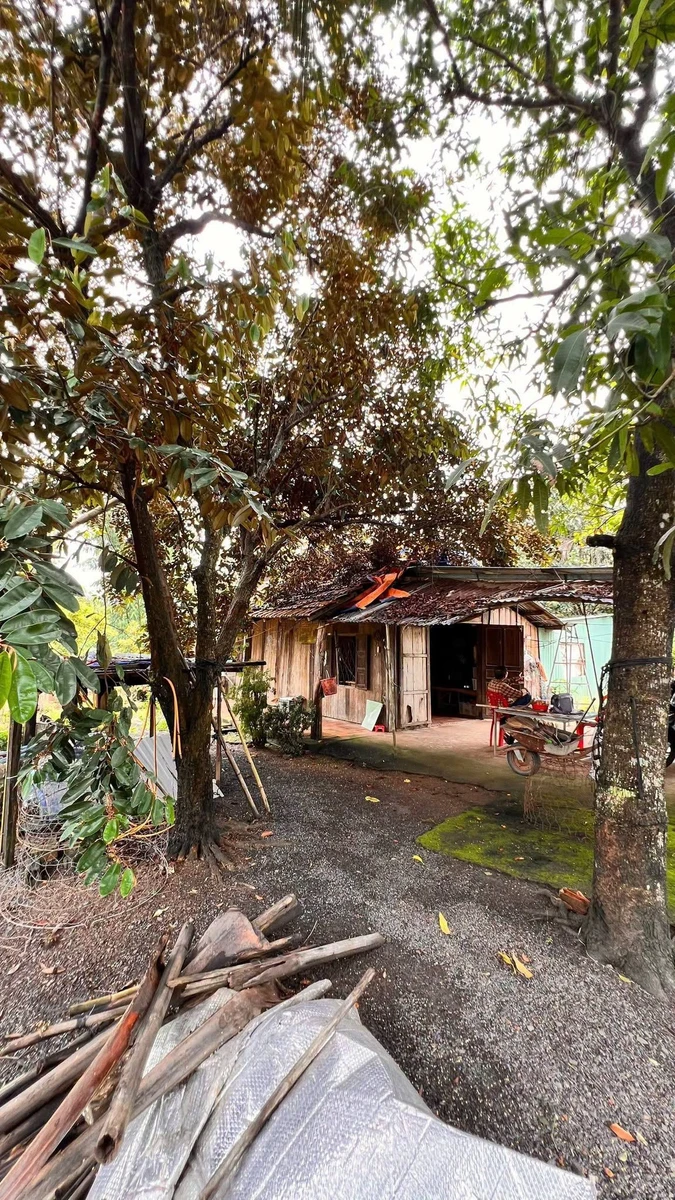 Bán đất vườn cây ăn trái 1.738m² chỉ 380 triệu Bù Đốp - Ảnh thu nhỏ 2