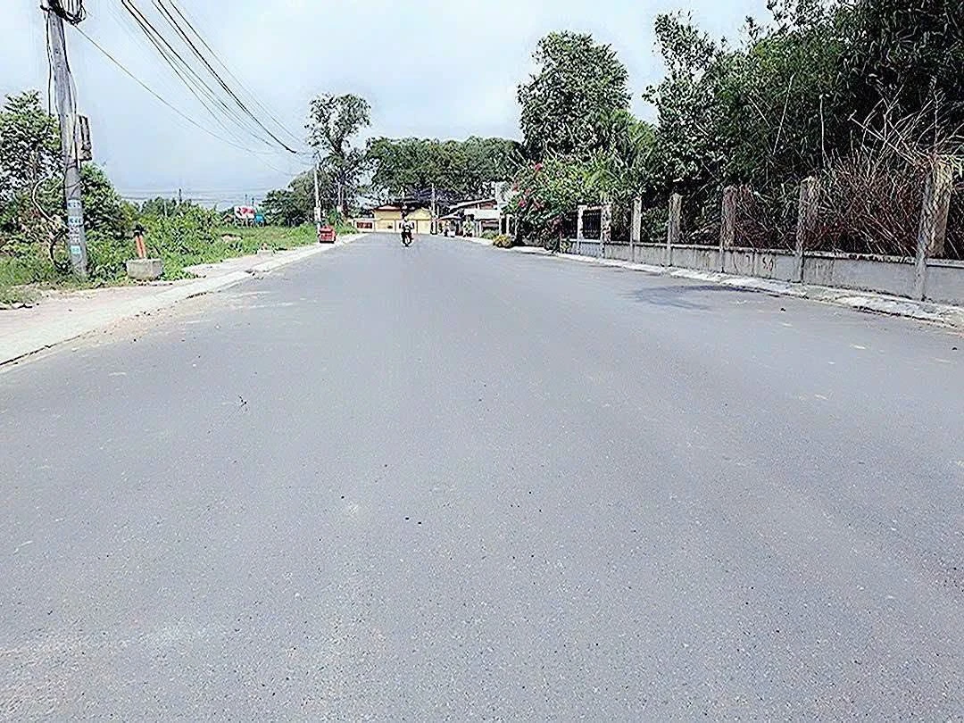 Bán nhà cấp 4 100m² Hoà Khánh Đông, Bình Chánh - Ảnh 1