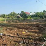 Bán nền 173m² Xã Bình Phú Bến Tre 790 triệu - Ảnh thu nhỏ 2