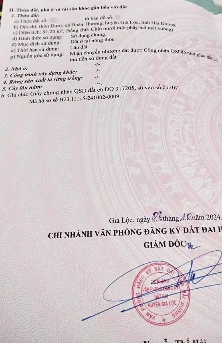 Bán lô đất 91,2m² Thôn Đươi, Đoàn Thượng, Hải Phòng 1,1 tỷ - Ảnh thu nhỏ 3