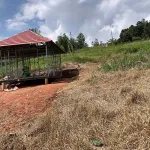 Bán lô đất chính chủ, view đẹp nghỉ dưỡng Bảo Lâm 3 giá chỉ 199tr Cả/lô. DT: 0931 326 *** - Ảnh thu nhỏ 7