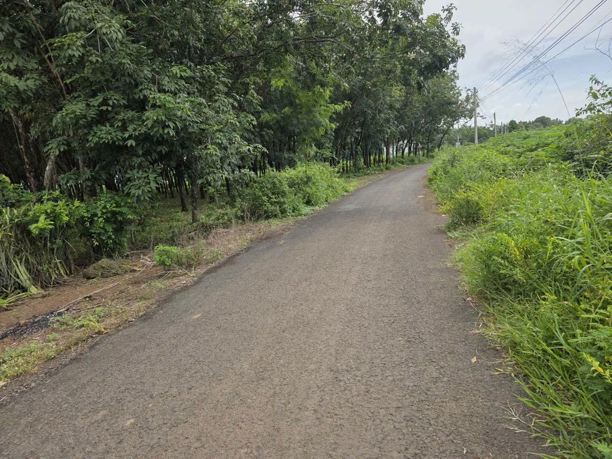 Bán đất mặt tiền 1.000m² Thiện Hưng, Đồng Nai, 320 triệu - Ảnh thu nhỏ 3