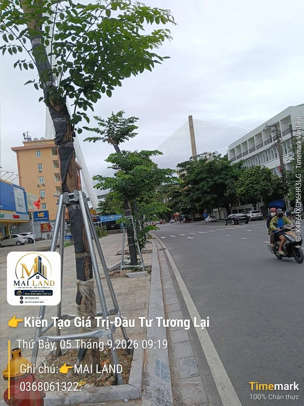 Bán nhà mặt phố Hạ Long 51m² view biển 6,5 tỷ