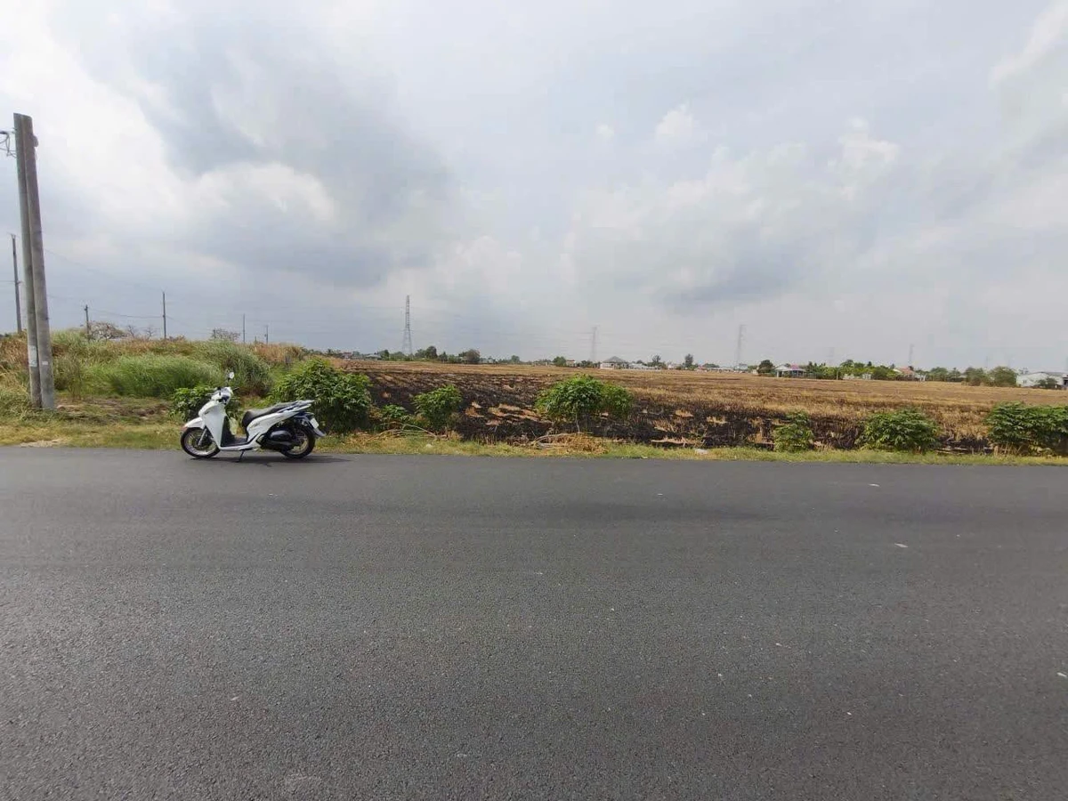 Bán đất lúa 10.200m² mặt tiền 52m Cần Đước Tây Ninh - Ảnh thu nhỏ 2